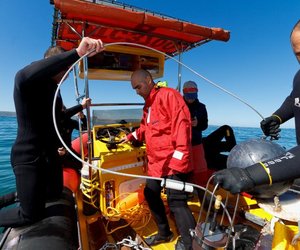 Acoustic loggers successfully moored